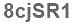 The text to enter in the texbox below is: 8cjSR1