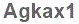 The text to enter in the texbox below is: Agkax1
