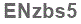 The text to enter in the texbox below is: ENzbs5