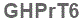 The text to enter in the texbox below is: GHPrT6