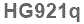 The text to enter in the texbox below is: HG921q