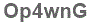 The text to enter in the texbox below is: Op4wnG