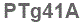 The text to enter in the texbox below is: PTg41A