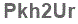 The text to enter in the texbox below is: Pkh2Ur