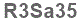 The text to enter in the texbox below is: R3Sa35