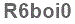 The text to enter in the texbox below is: R6boi0