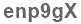 The text to enter in the texbox below is: enp9gX