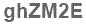 The text to enter in the texbox below is: ghZM2E