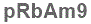 The text to enter in the texbox below is: pRbAm9