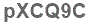 The text to enter in the texbox below is: pXCQ9C