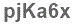 The text to enter in the texbox below is: pjKa6x