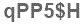 The text to enter in the texbox below is: qPP5$H