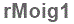 The text to enter in the texbox below is: rMoig1