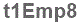 The text to enter in the texbox below is: t1Emp8