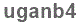 The text to enter in the texbox below is: uganb4
